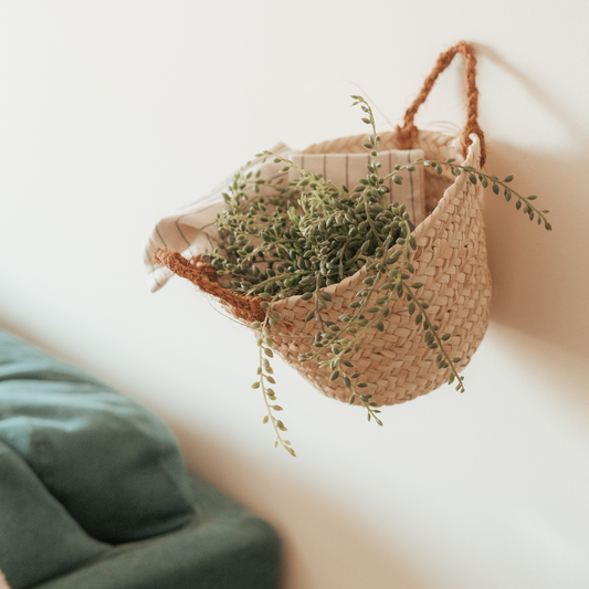 Basket with coir handles