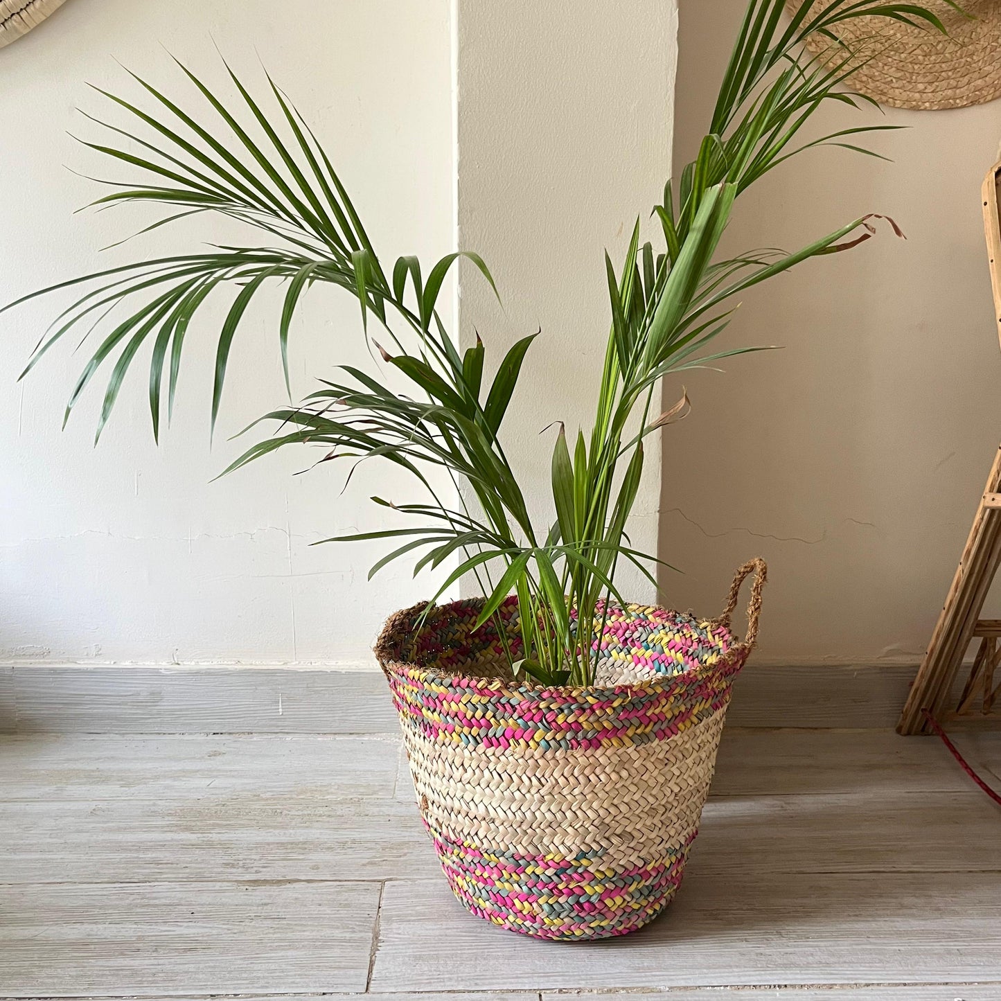 Palm Color Blend Basket