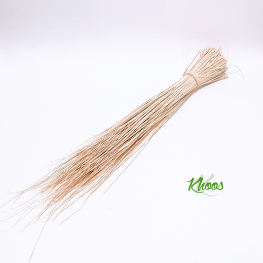 Palm leaves - Fine bundle