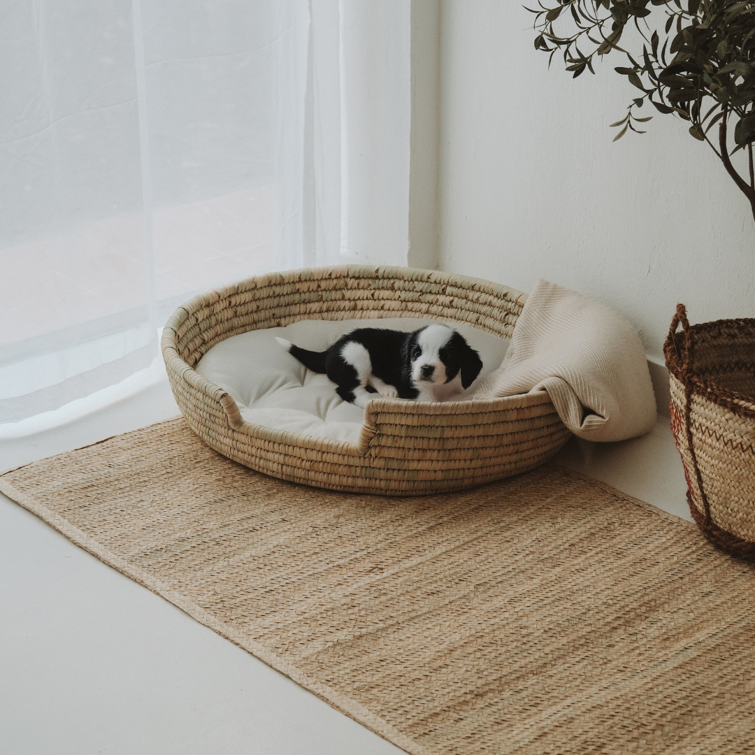 Comfortable Dog Basket Bed