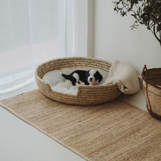 Comfortable Dog Basket Bed