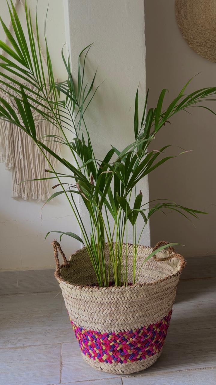 Palm Color Blend Basket