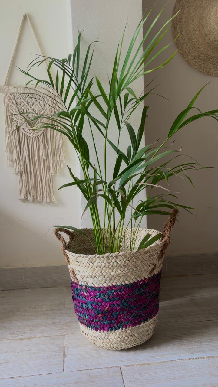 Palm Color Blend Basket