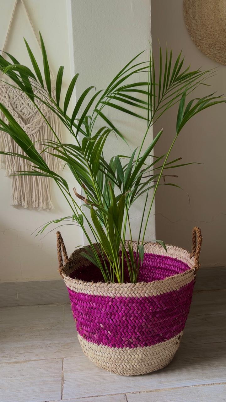 Palm Color Blend Basket