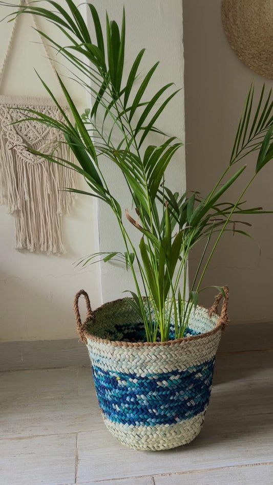 Palm Color Blend Basket