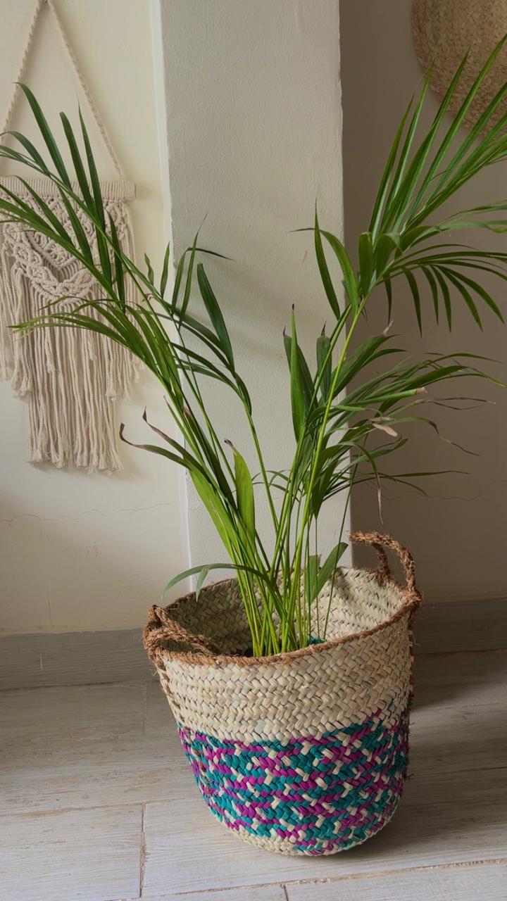 Palm Color Blend Basket