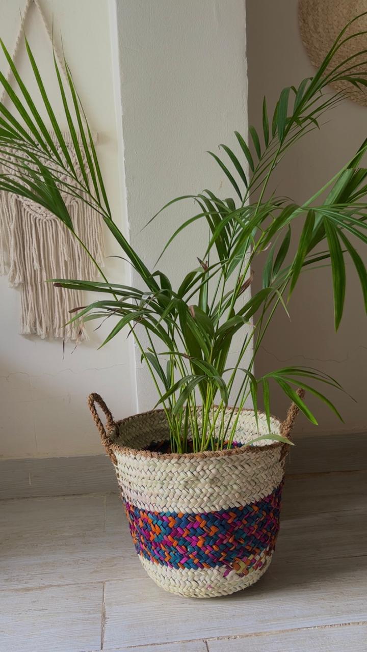 Palm Color Blend Basket