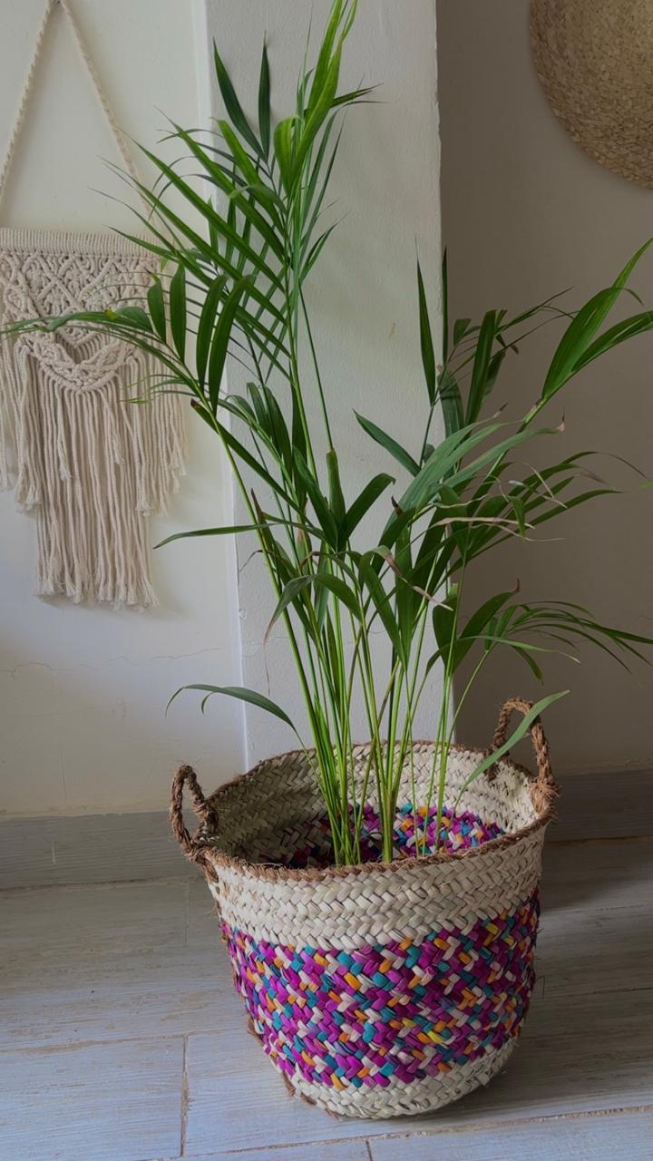 Palm Color Blend Basket