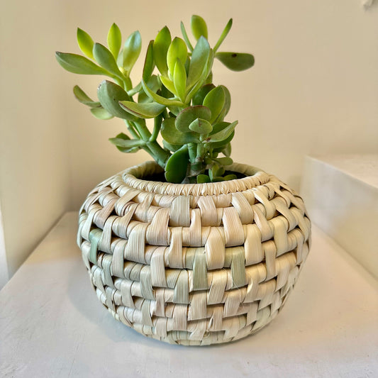 Belly plant pot cover