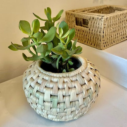 Belly plant pot cover