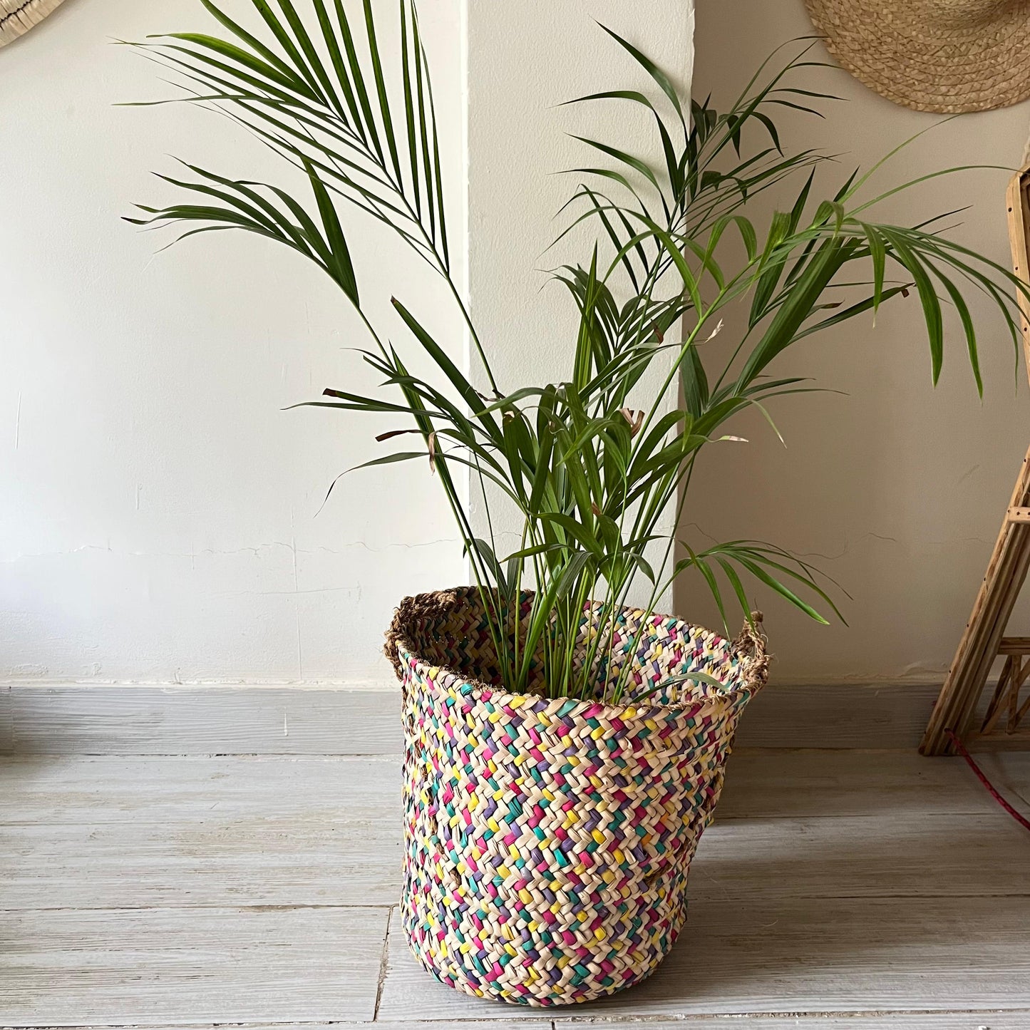 Palm Color Blend Basket