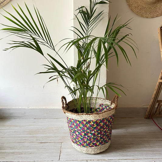 Palm Color Blend Basket