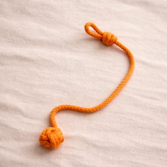 Paws Rope Toy