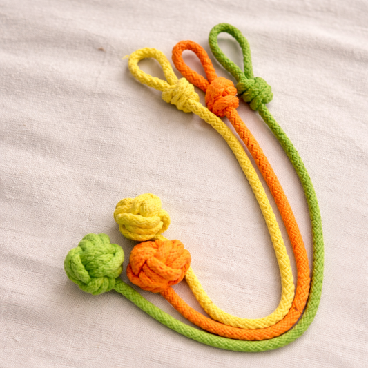 Paws Rope Toy