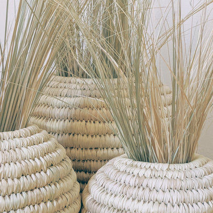 Palm leaves - Fine bundle